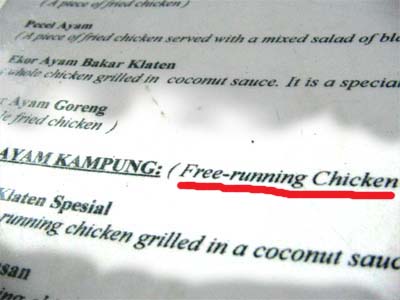 Mau tau bahasa Inggrisnya “Ayam Kampung”? | (new) Mbot's HQ