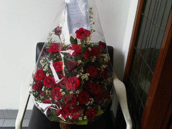 salah satu alasan mengapa kawin itu baik