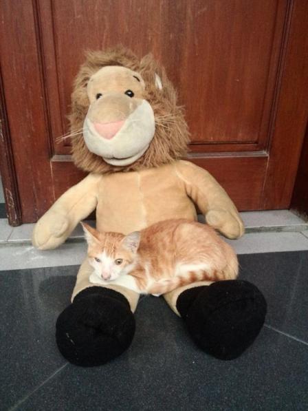 10250171_10152475633497398_317837590373373713_n