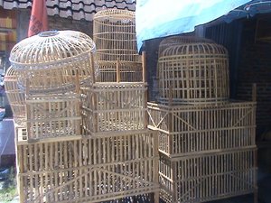 sangkar ayam sangkar ayam