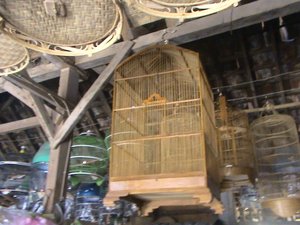 sangkar cucakrowo sangkar cucakrowo