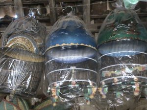 sangkar burung perkutut sangkar burung perkutut