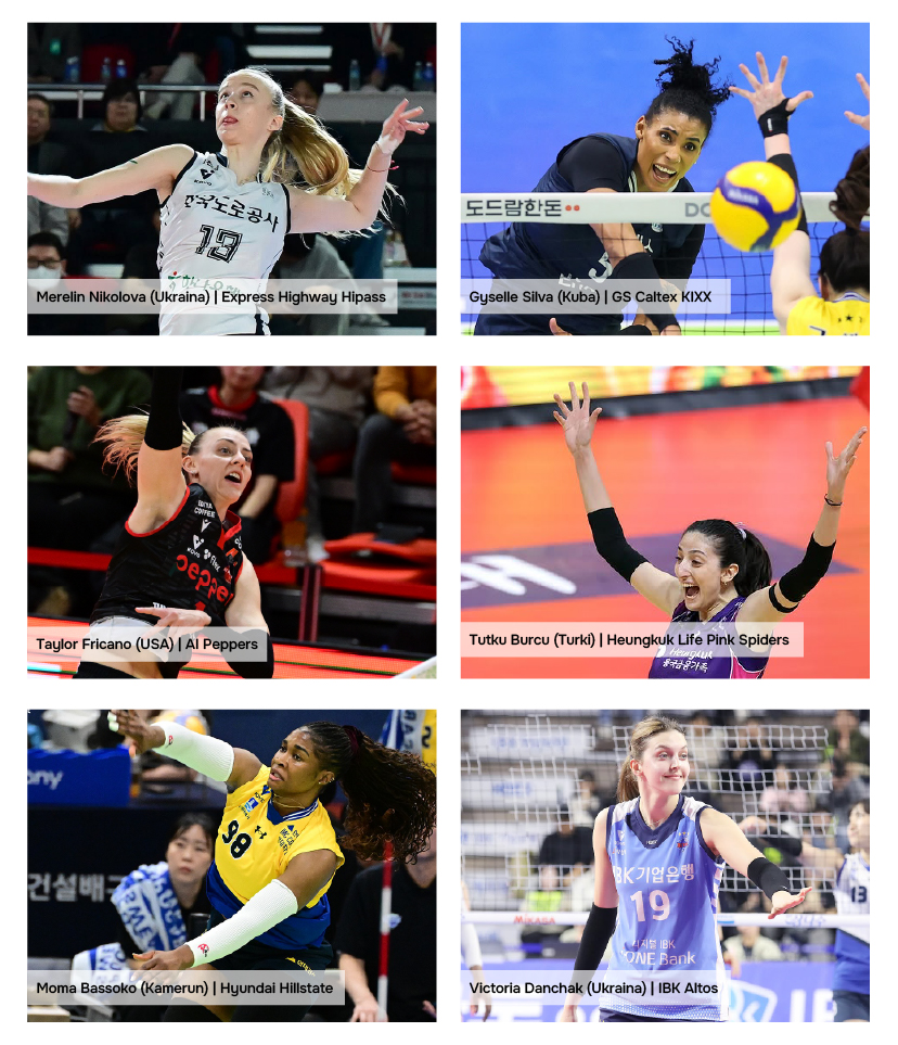 para pemain opposite hitter di kovo v-league 2024-2025